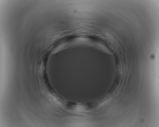 X0000091960223200709061308