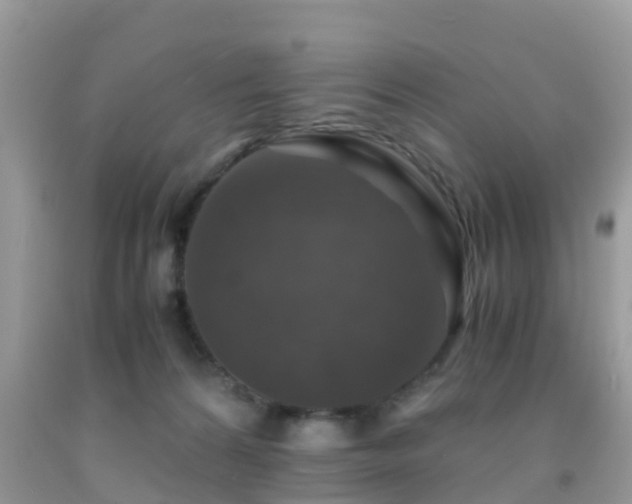 X0000091960224200709061308