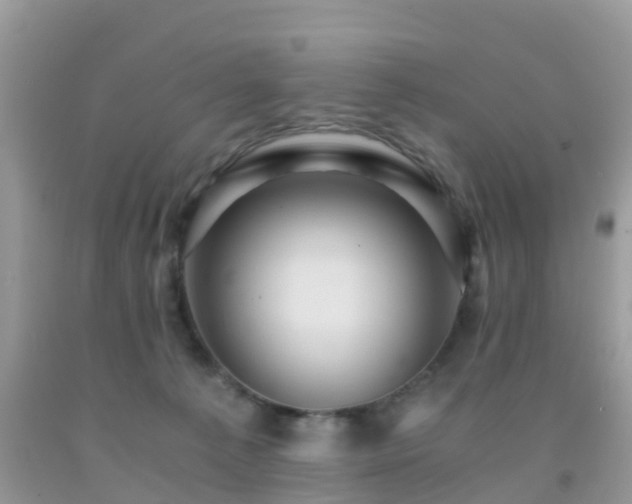 X0000091960225200709061308