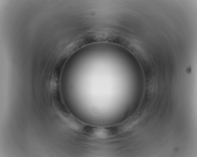 X0000091960226200709061308