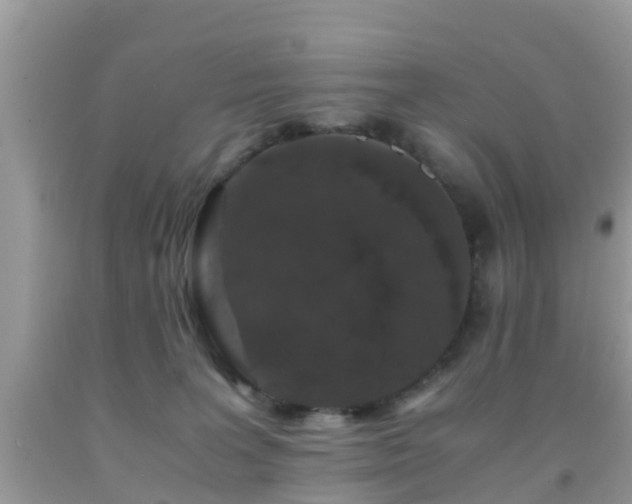 X0000091960227200709061308