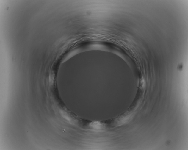 X0000091960231200709061308