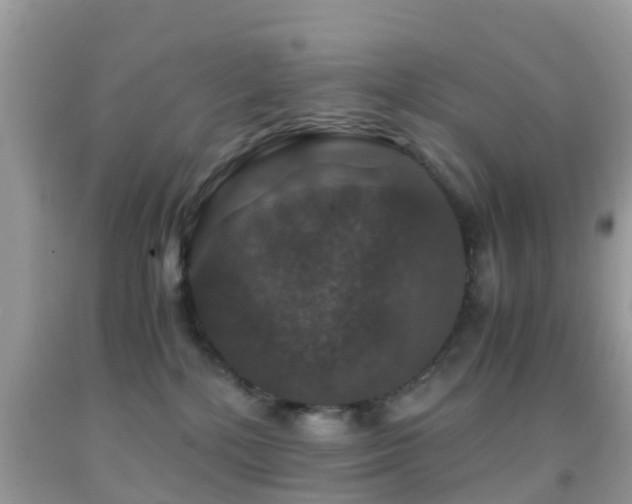 X0000091960232200709061308