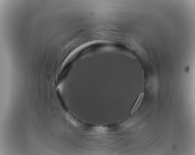 X0000091960233200709061308