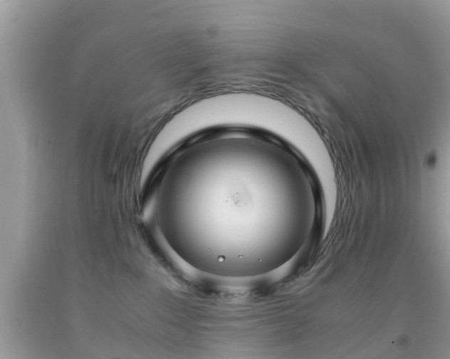 X0000091960235200709061308