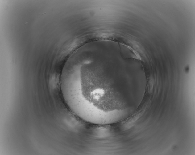 X0000091960236200709061308