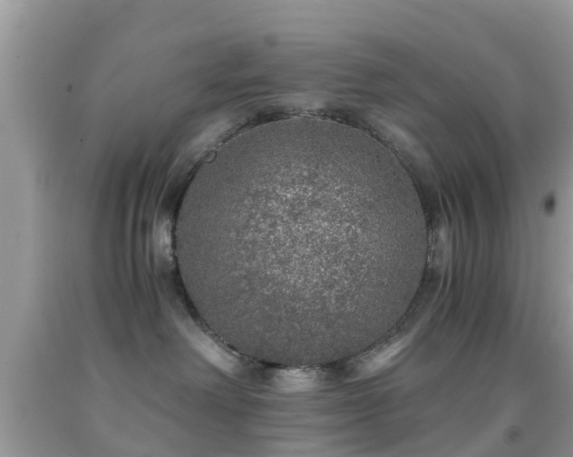 X0000091960238200709061308