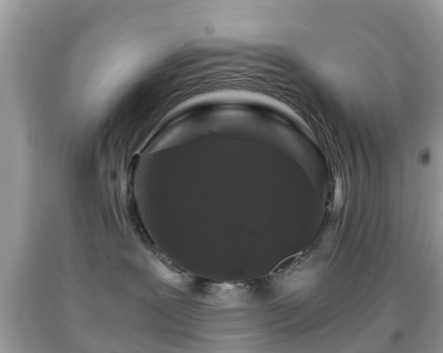 X0000091960239200709061308