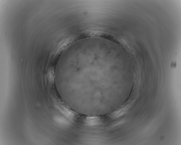 X0000091960240200709061307