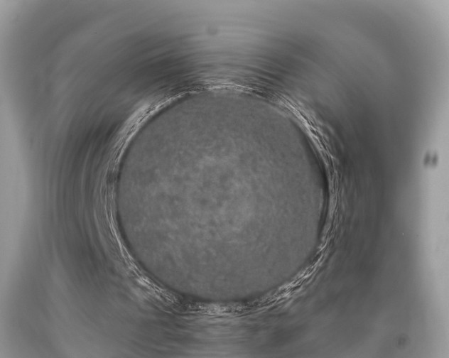 X0000091960241200709061307