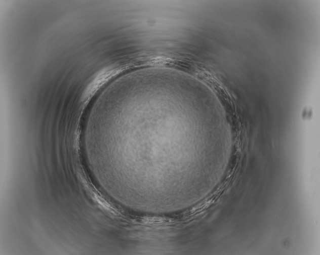 X0000091960242200709061307