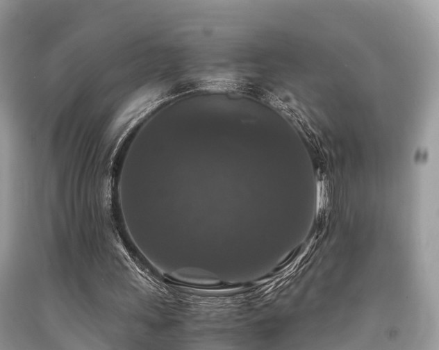 X0000091960243200709061307