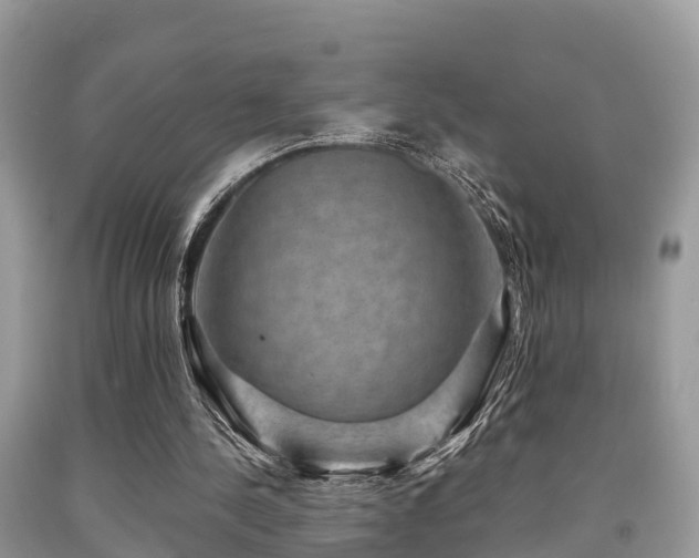 X0000091960244200709061307