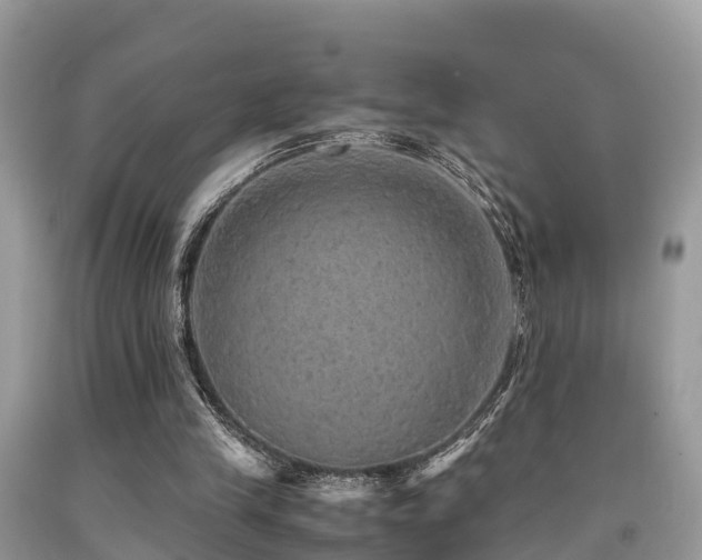 X0000091960245200709061307