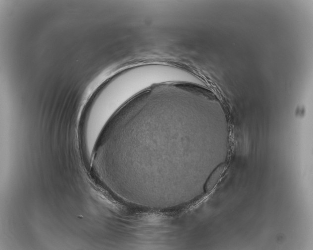 X0000091960246200709061307