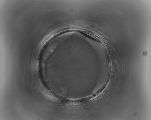 X0000091960247200709061307