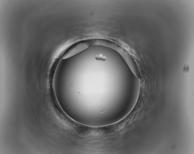 X0000091960248200709061307