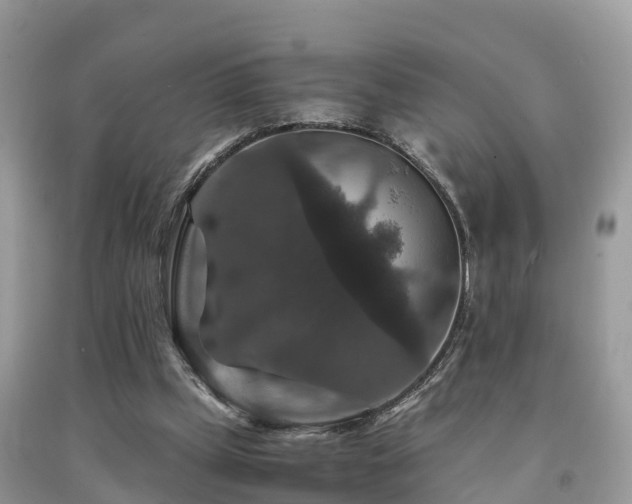 X0000091960249200709061307