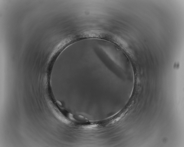 X0000091960250200709061307