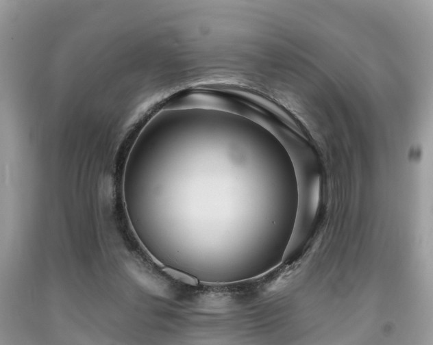 X0000091960252200709061307