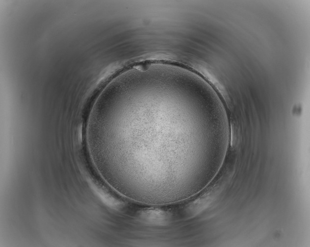 X0000091960253200709061307