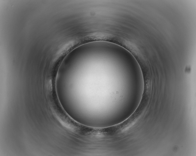 X0000091960254200709061307