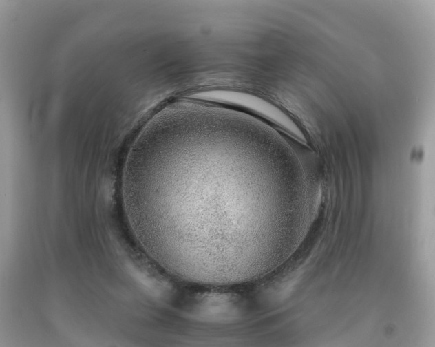 X0000091960255200709061307