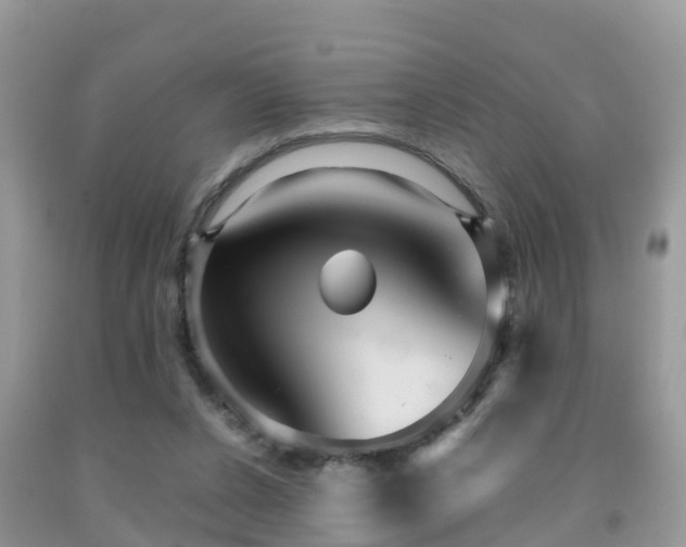 X0000091960256200709061307