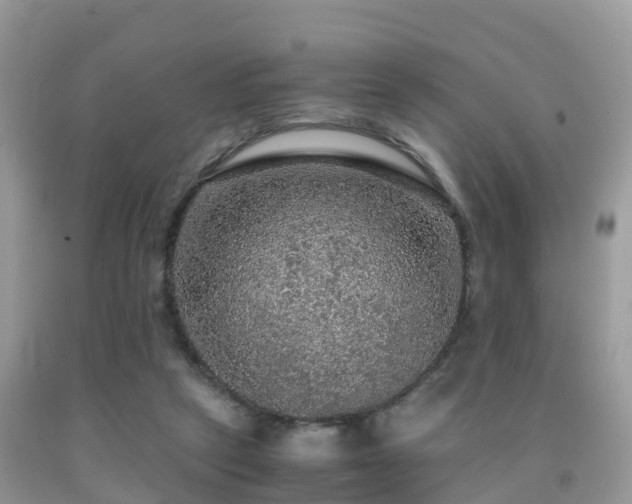 X0000091960257200709061307