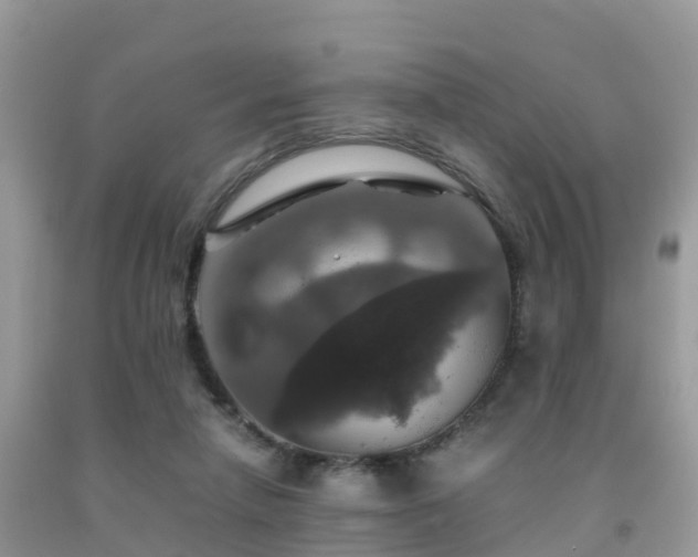 X0000091960258200709061307