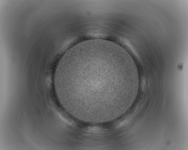 X0000091960259200709061307