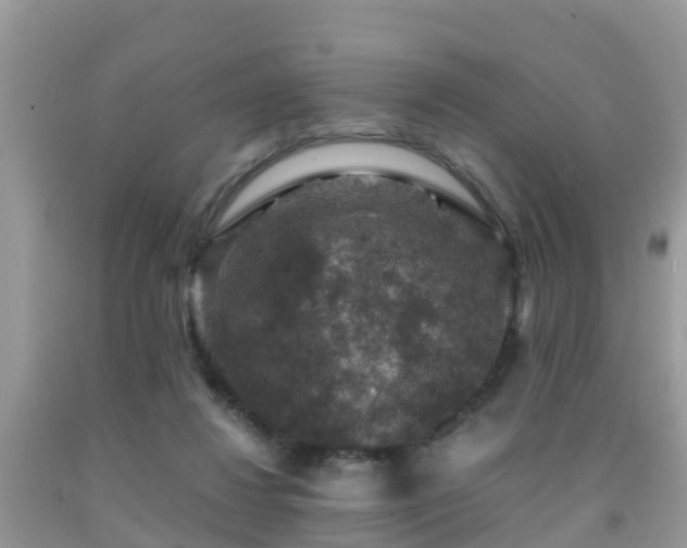 X0000091960260200709061307