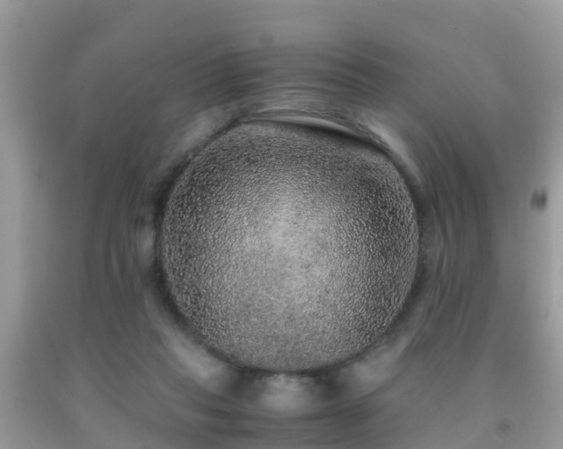 X0000091960261200709061307