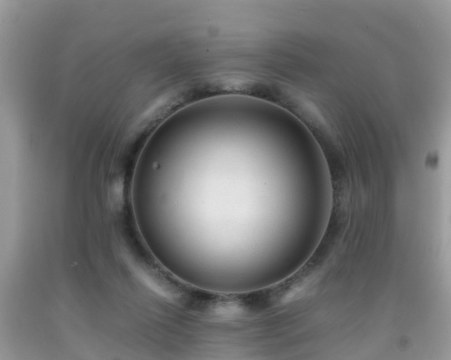 X0000091960262200709061307