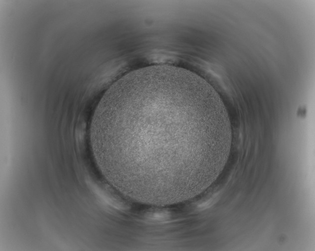 X0000091960263200709061307