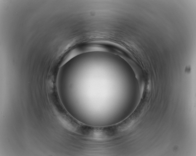 X0000091960264200709061307