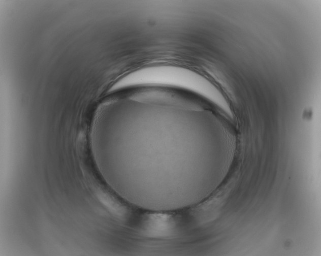 X0000091960265200709061307