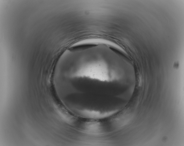 X0000091960266200709061307