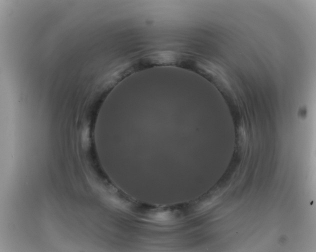 X0000091960267200709061307