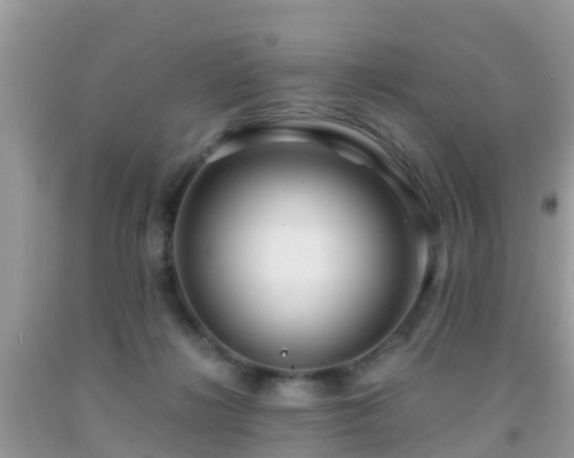 X0000091960268200709061307