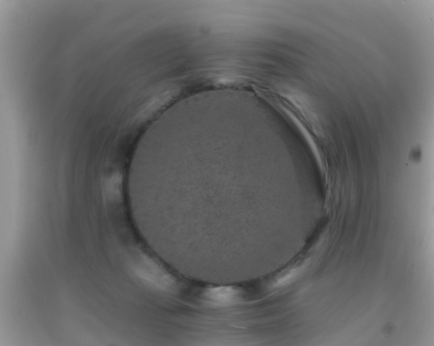 X0000091960269200709061307