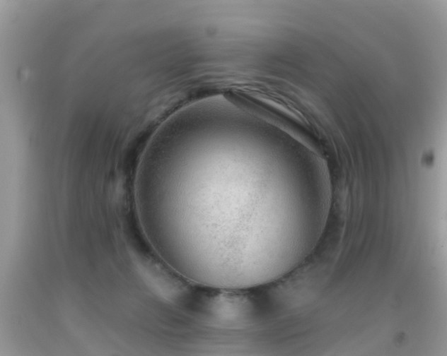 X0000091960270200709061307