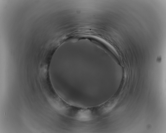 X0000091960271200709061307