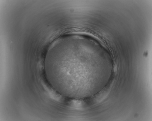 X0000091960272200709061307