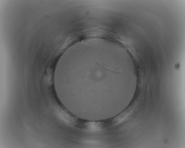 X0000091960273200709061307