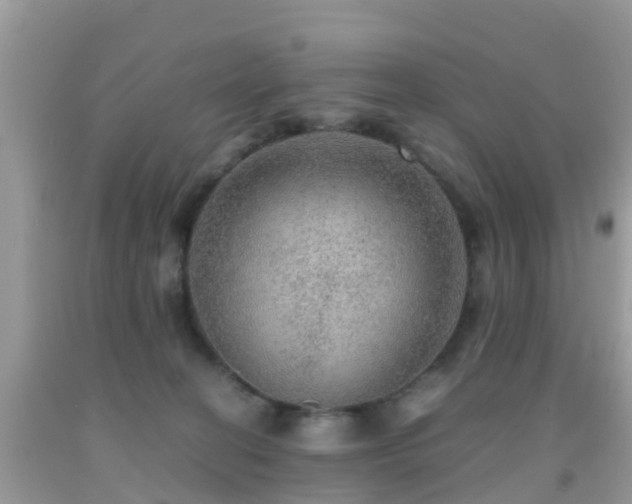 X0000091960274200709061307