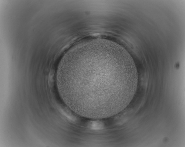 X0000091960275200709061307