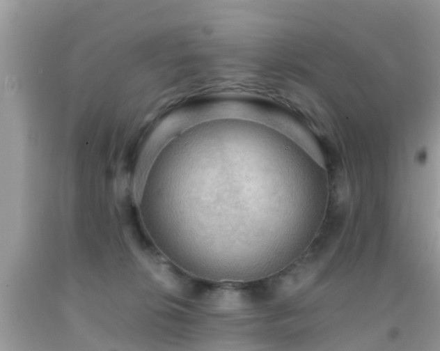 X0000091960276200709061307