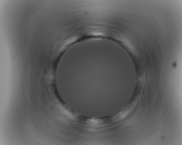 X0000091960277200709061307