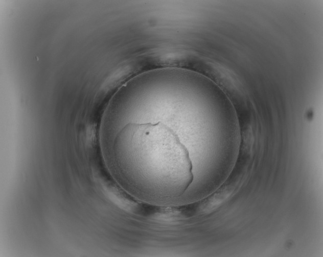 X0000091960278200709061307